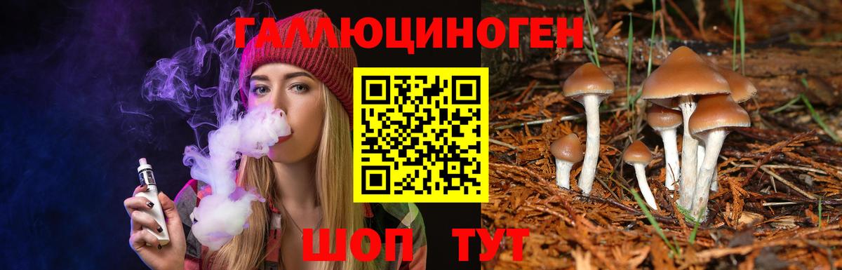 Галлюциногенные грибы мицелий  Вход с VPN  Карачаевск 